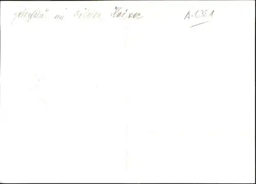 Wilder Kaiser [Handschriftlich]