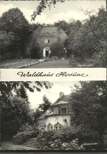 Hosuene Waldhaus x