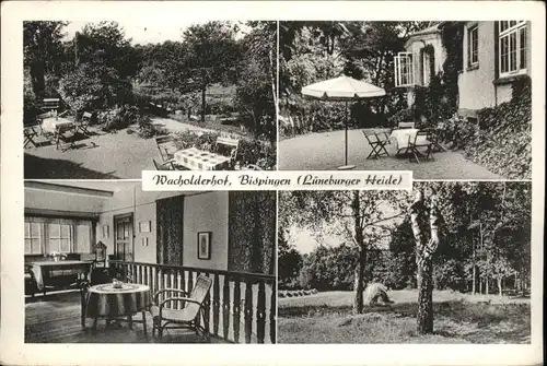 Bispingen Lueneburger Heide Wacholderhof x