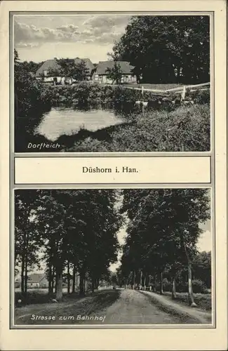 Dueshorn Dueshorn Hannover Teich x / Walsrode /Soltau-Fallingbostel LKR