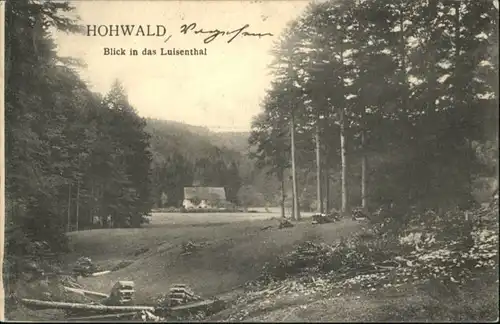 Hohwald Sachsen Hohwald Luisenthal x / Neustadt Sachsen /Saechsische Schweiz-Osterzgebirge LKR
