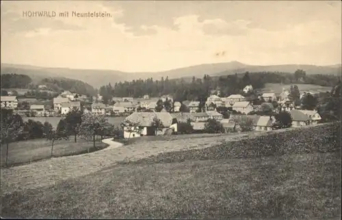 Hohwald Sachsen Hohwald Neuntelstein * / Neustadt Sachsen /Saechsische Schweiz-Osterzgebirge LKR