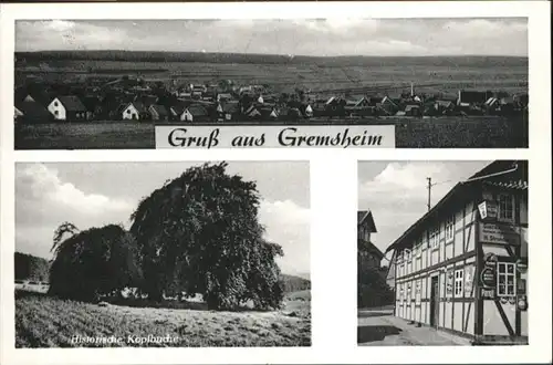 Gremsheim Kopfbuche x