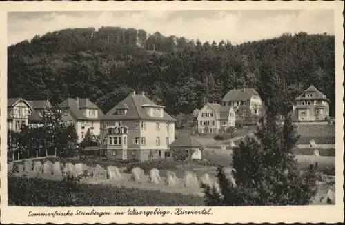 Steinbergen Kurviertel *