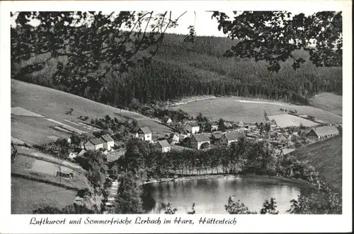 Lerbach Harz Huettenteich *