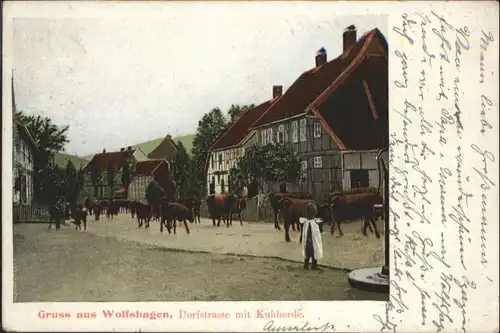 Wolfshagen Harz Wolfshagen Harz Dorfstrasse Kuhherde x / Langelsheim /Goslar LKR