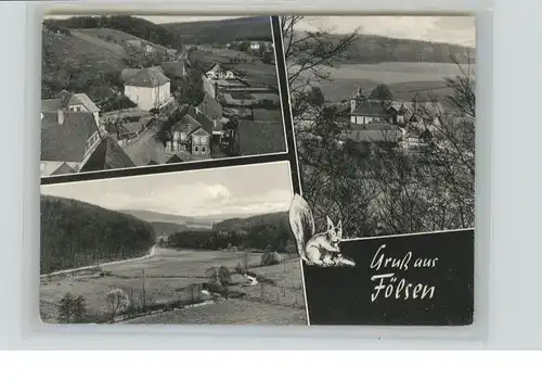 Foelsen Gasthaus Nethegau Eichhoernchen x