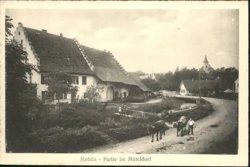 Moehlin Mitteldorf Kuehe *