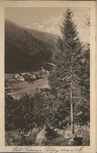 Fahl Feldberg  / Todtnau /