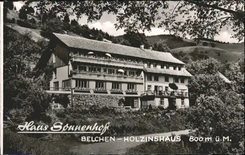 Holzinshaus Haus Sonnenhof Werbekarte *