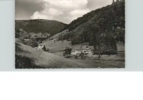 Fahl Feldberg Gasthaus Pension Adler * / Todtnau /