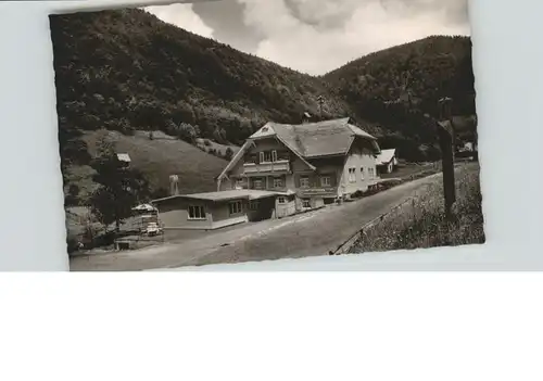 Fahl Feldberg Gasthaus Pension Adler * / Todtnau /