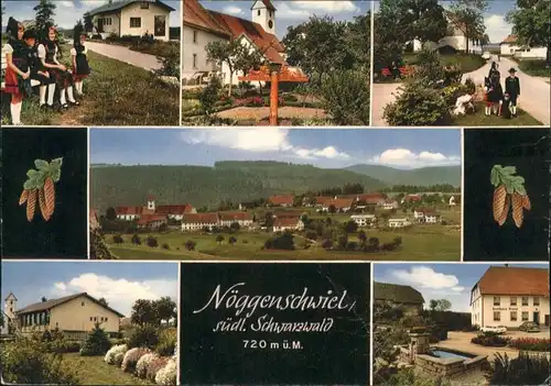 Noeggenschwiel Schwarzwald x