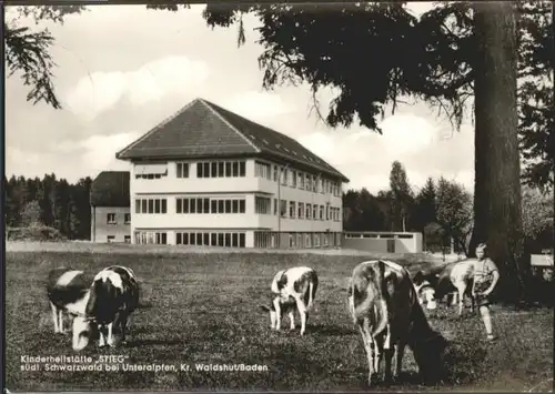 Unteralpfen Kreis Waldshut Baden Kinderheilstaette Stieg Schwarzwald x