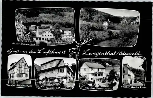 Langenthal Odenwald Pension Flaechsenhaar Linde *