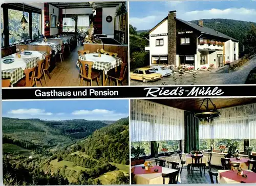 Reisenbach Grund Gasthaus Rieds-Muehle *