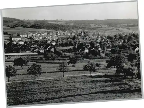 Neckarbischofsheim  *