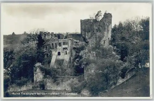 Gammelsbach Ruine Freienstein *