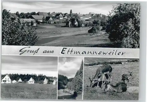 Ettmannsweiler  *