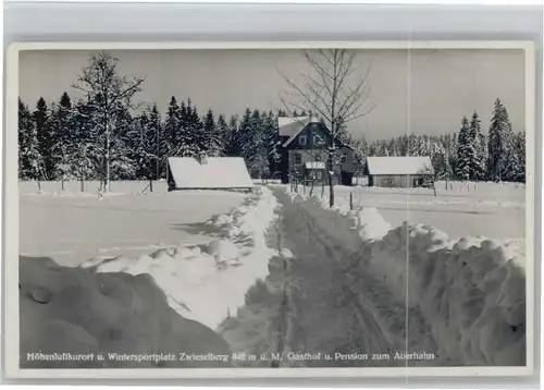 Zwieselberg Freudenstadt Gasthof Pension zum Auerhahn x