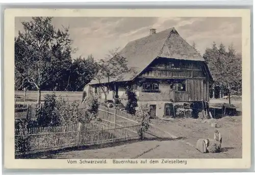 Zwieselberg Freudenstadt Bauernhaus x