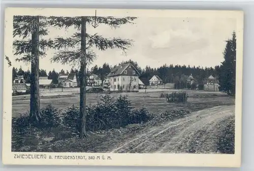 Zwieselberg Freudenstadt  x