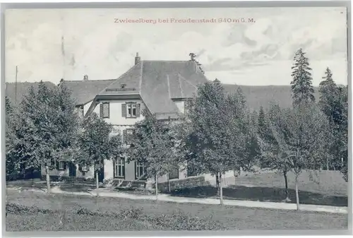 Zwieselberg Freudenstadt Hotel Pension Hirsch *