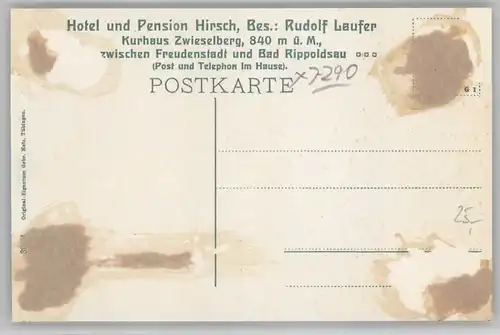 Zwieselberg Freudenstadt Hotel Pension Hirsch *