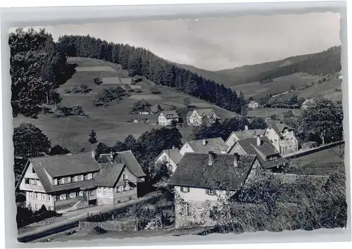 Obertal Baiersbronn  *