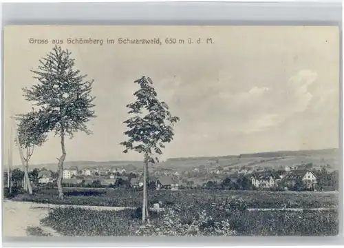 Schoemberg Schwarzwald Neuenbuerg  x