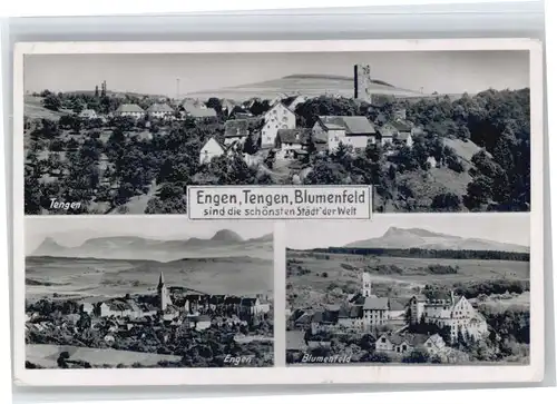 Engen Hegau Tengen Blumenfeld x