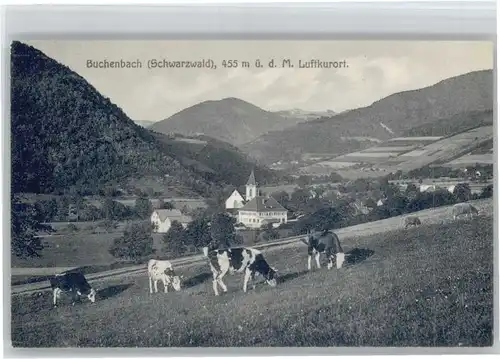 Buchenbach Breisgau Buchenbach Breisgau Kuehe x / Buchenbach /Breisgau-Hochschwarzwald LKR