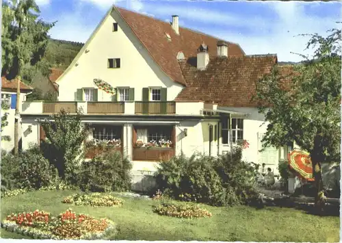 Bickensohl Winzerhaus Rebstock *
