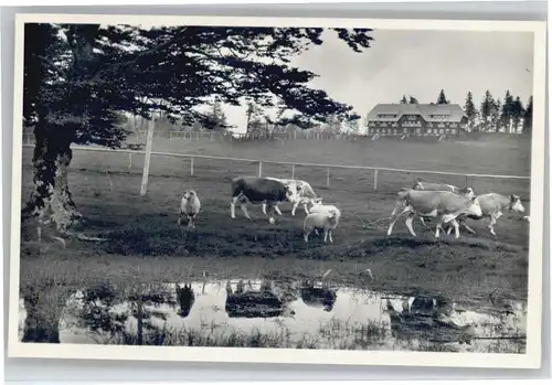 Kirchzarten Hotel Burggraf *