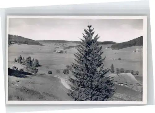 wu51960 Langenordnach Langenordnach  * Kategorie. Titisee-Neustadt Alte Ansichtskarten