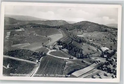 Ihringen Fliegeraufnahme Blankenhornsberg *