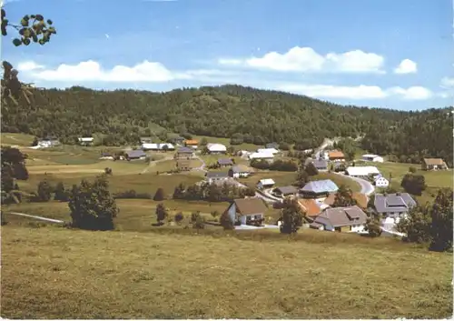 Dachsberg Suedschwarzwald Haus Croenert x