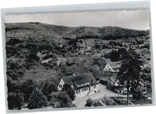 Sehringen Gasthaus zum gruenen Baum *