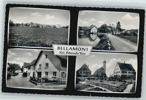 Bellamont  x