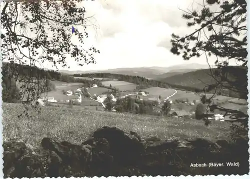 Asbach Viechtach  *