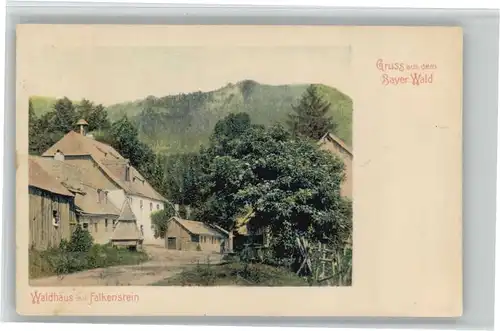 Rinchnach Waldhaus Falkenstein *