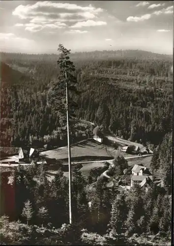 Hinterlangenbach Baiersbronn Forsthaus Auerhahn Gaestehaus *