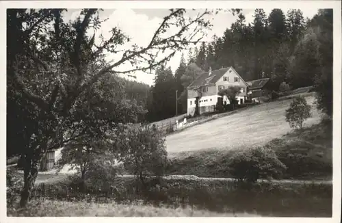 Hinterlangenbach Baiersbronn Gasthaus Pension Auerhahn *