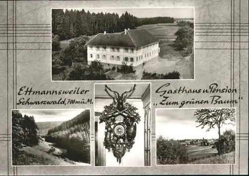 Ettmannsweiler Gasthof Pension Zum gruenen Baum *