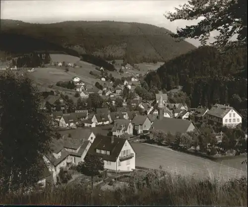 Obertal Baiersbronn  *