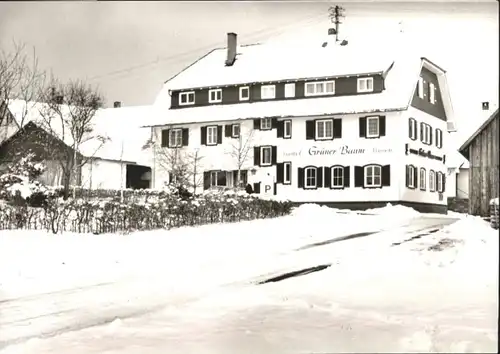 Aichelberg Calw Gasthof Pension Gruener Baum *