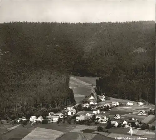 Schoenegruend Gasthof Loewen *