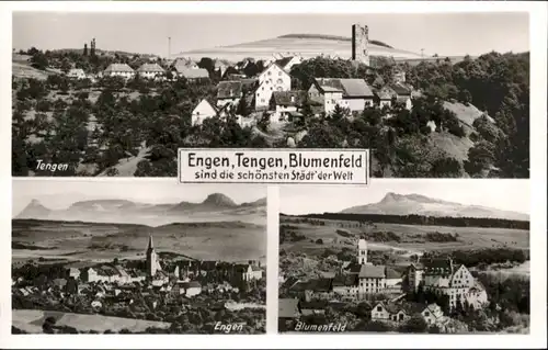 Tengen Blumenfeld Engen *