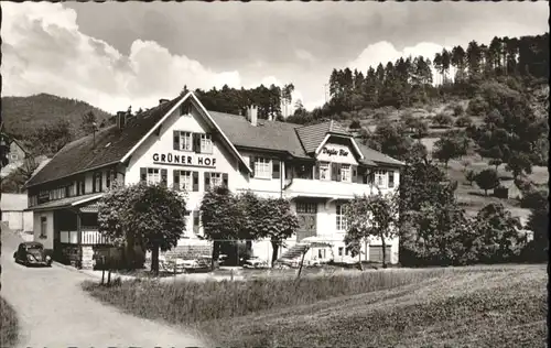 Hilpertsau Gaststaette Pension Gruener hof *