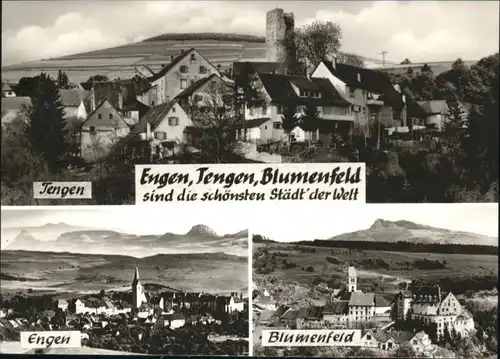 Blumenfeld Engen Tengen *